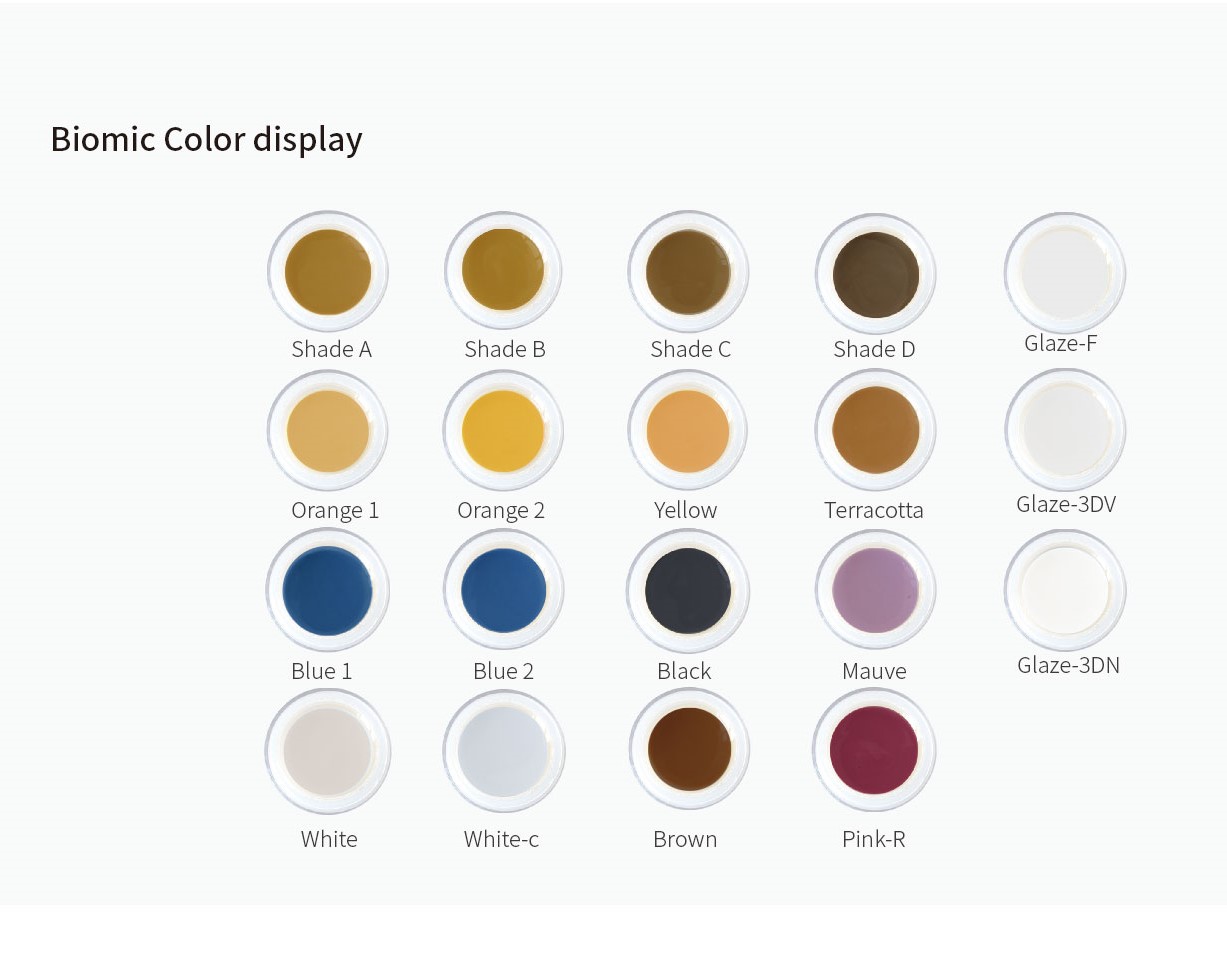 Biomic Aesthetic Stain Glaze The AmericaSmiles Network