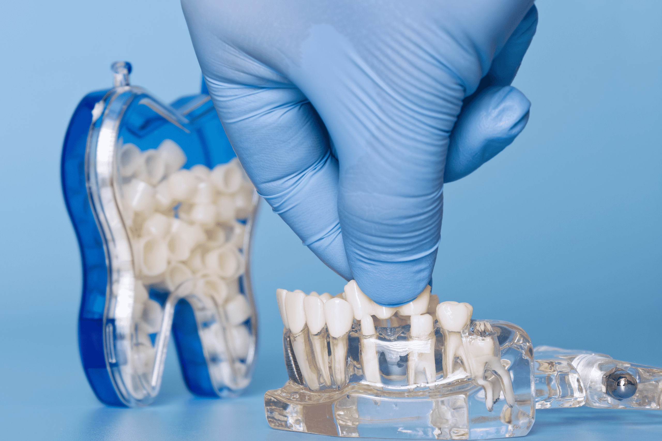 AMS - dental ffile 1